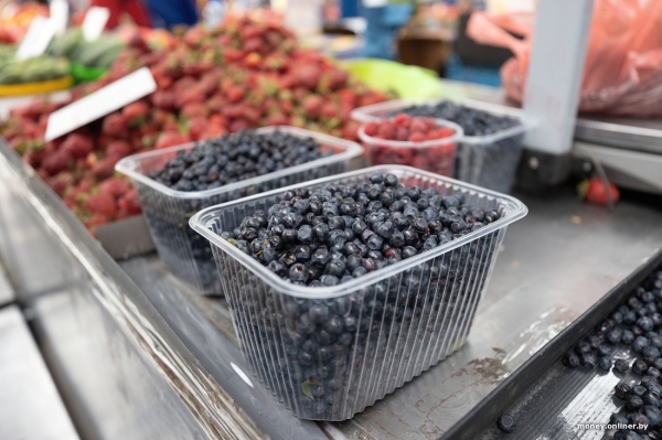 Начался сезон черники. Почем продают первые ягоды из Брестской области? Начался сезон черники. Почем продают первые ягоды из Брестской области?