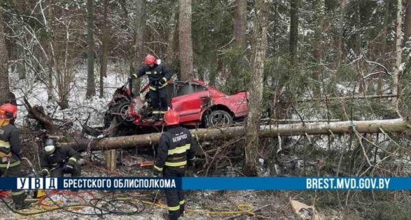 В Брестской области произошло серьезное ДТП