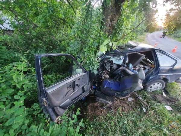 20-летний бесправник врезался в дерево в Кобринском районе