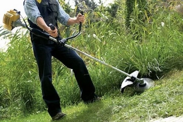 Житель Бреста: Покосил за деньги траву соседке по даче. Надо ли платить с этого налог? Житель Бреста: Покосил за деньги траву соседке по даче. Надо ли платить с этого налог?