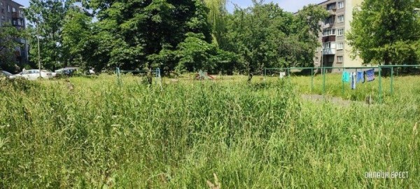 Читатель: Брест, ул. Я.Купалы. Вон какая трава вымахала
Читатель: Брест, ул. Я.Купалы. Вон какая трава вымахала