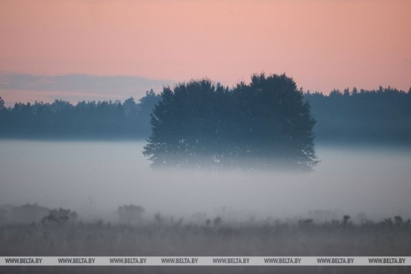 Осеннее утро в Беловежской пуще Осеннее утро в Беловежской пуще