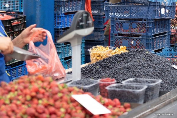 Начался сезон черники. Почем продают первые ягоды из Брестской области? Начался сезон черники. Почем продают первые ягоды из Брестской области?