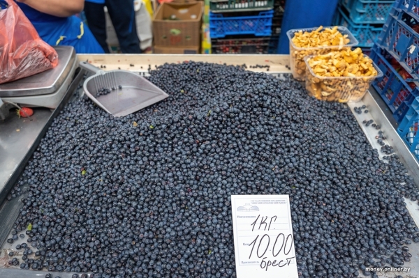 Начался сезон черники. Почем продают первые ягоды из Брестской области? Начался сезон черники. Почем продают первые ягоды из Брестской области?