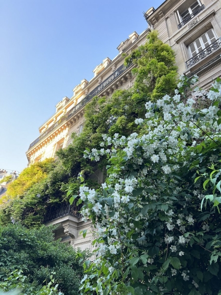 «Аренда хорошей квартиры — минимум 1800 евро». Белорусы переехали в Париж и рассказывают, что там с ценами и недвижимостью «Аренда хорошей квартиры — минимум 1800 евро». Белорусы переехали в Париж и рассказывают, что там с ценами и недвижимостью