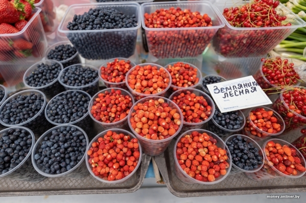 Начался сезон черники. Почем продают первые ягоды из Брестской области? Начался сезон черники. Почем продают первые ягоды из Брестской области?