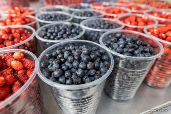 Начался сезон черники. Почем продают первые ягоды из Брестской области? Начался сезон черники. Почем продают первые ягоды из Брестской области?