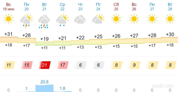 Какая погода ждет жителей Бреста на предстоящей неделе