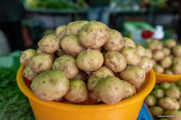 Наконец-то молодая белорусская картошка. Смотрим, почем у нас и у соседей Наконец-то молодая белорусская картошка. Смотрим, почем у нас и у соседей