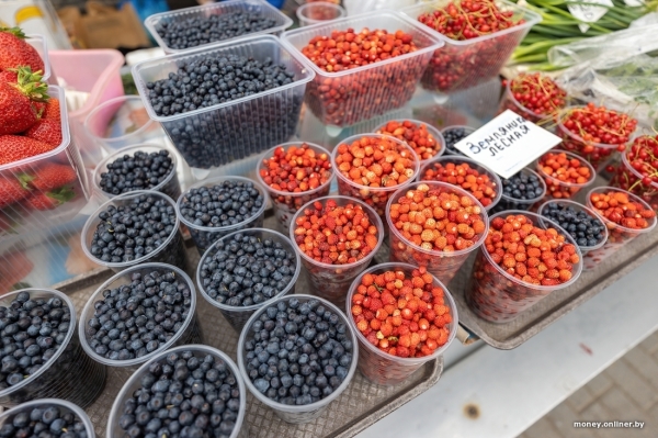 Начался сезон черники. Почем продают первые ягоды из Брестской области? Начался сезон черники. Почем продают первые ягоды из Брестской области?