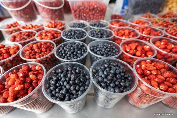 Начался сезон черники. Почем продают первые ягоды из Брестской области? Начался сезон черники. Почем продают первые ягоды из Брестской области?