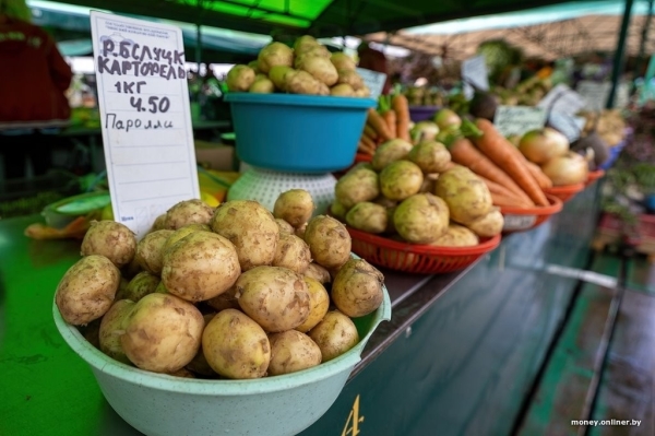 Наконец-то молодая белорусская картошка. Смотрим, почем у нас и у соседей Наконец-то молодая белорусская картошка. Смотрим, почем у нас и у соседей
