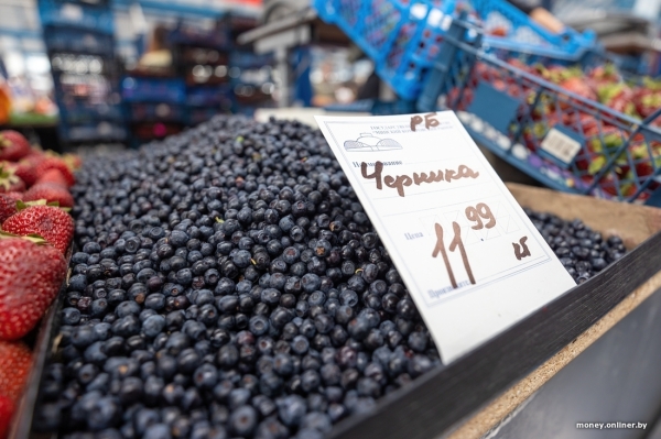 Начался сезон черники. Почем продают первые ягоды из Брестской области? Начался сезон черники. Почем продают первые ягоды из Брестской области?