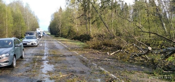 Как белорус застрял на трассе из-за штормовой погоды и добирался домой Как белорус застрял на трассе из-за штормовой погоды и добирался домой