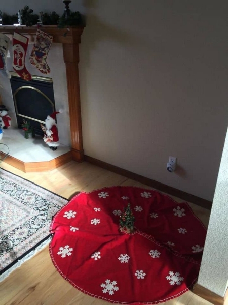 «И так сойдет!» 20 безумных елок, которые появились благодаря лени-матушке «И так сойдет!» 20 безумных елок, которые появились благодаря лени-матушке